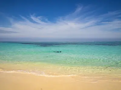 Ferienwohnung für 2 Personen (18 m²) in Guardalavaca 5/10