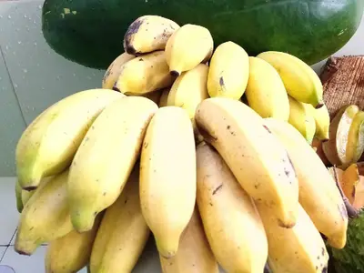 Ferienwohnung für 3 Personen (16 m²) in Havanna 9/10