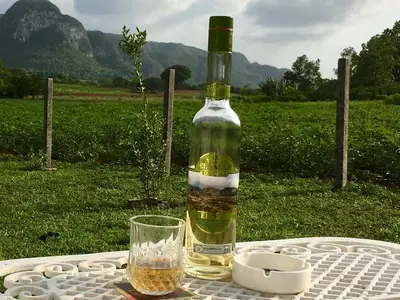 Ferienwohnung für 4 Personen (25 m²) in Viñales 6/10