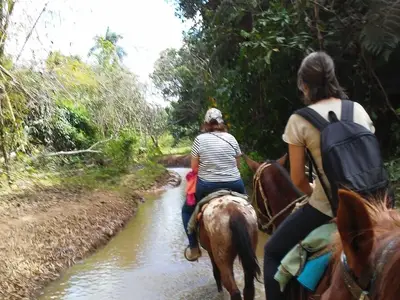 Ferienwohnung für 4 Personen (20 m²) in Viñales 10/10