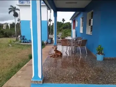 Ferienwohnung für 3 Personen (16 m²) in Margajitas 6/10