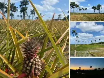 Ferienwohnung für 3 Personen (16 m²) in Margajitas 8/10