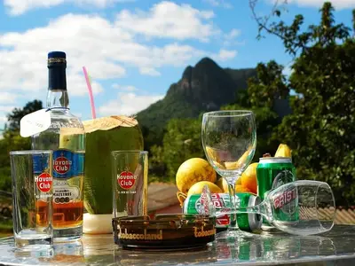 Ferienwohnung für 4 Personen (16 m²) in Viñales 5/10