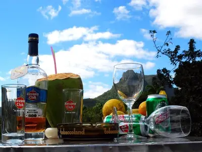 Ferienwohnung für 4 Personen (16 m²) in Viñales 9/10