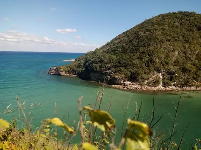 Ferienwohnung für 3 Personen (25 m²) in Boca de Canasí 7/10