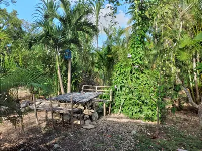 Ferienwohnung für 3 Personen (25 m²) in Boca de Canasí 10/10