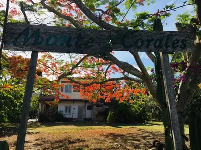 Ferienwohnung für 2 Personen (16 m²) in Boca de Canasí 10/10