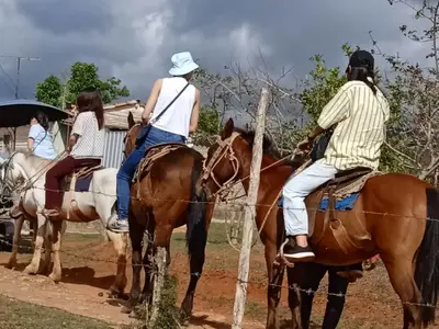 Ferienwohnung für 4 Personen (20 m²) in Viñales 7/10