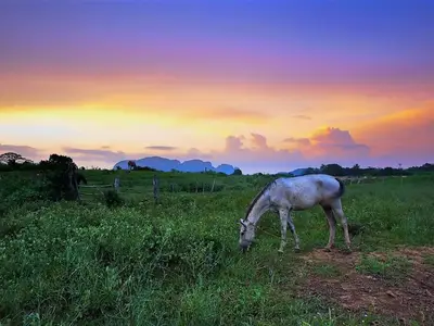 Ferienwohnung für 2 Personen (16 m²) in Viñales 4/10
