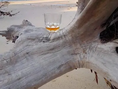 Ferienwohnung für 2 Personen (20 m²) in Playa la Herradura 5/10