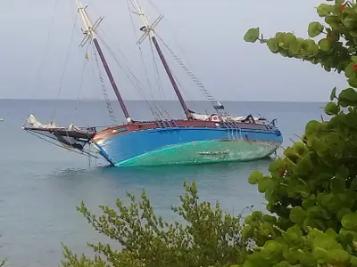 Ferienwohnung für 4 Personen (16 m²) in María La Gorda 7/10