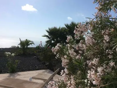 Ferienwohnung für 2 Personen (55 m²) in Los Llanos de Aridane 9/10