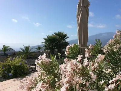 Ferienwohnung für 2 Personen (55 m²) in Los Llanos de Aridane 10/10