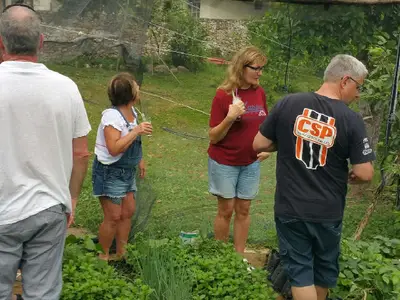 Ferienwohnung für 4 Personen (20 m²) in La Flora 7/10