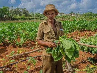 Ferienwohnung für 3 Personen (16 m²) in Viñales 8/10