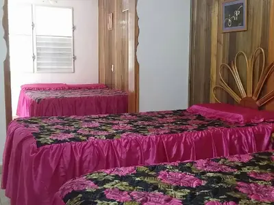 Ferienwohnung für 4 Personen (16 m²) in La Flora 2/10