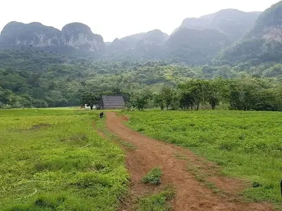 Ferienwohnung für 4 Personen (18 m²) in Viñales 9/10