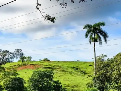 Ferienwohnung für 4 Personen (18 m²) in Viñales 10/10