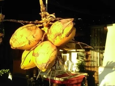 Ferienwohnung für 2 Personen (15 m²) in La Boca 3/10