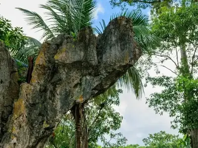 Ferienwohnung für 4 Personen (20 m²) in Viñales 9/10