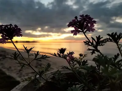 Ferienwohnung für 2 Personen (25 m²) in Playa Larga 4/10