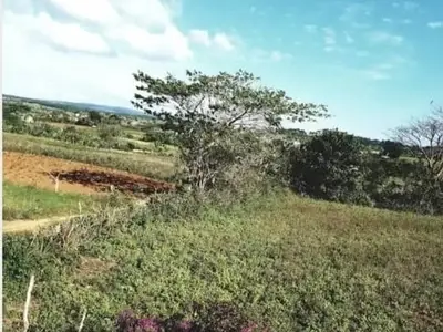Ferienwohnung für 4 Personen (20 m²) in Viñales 10/10