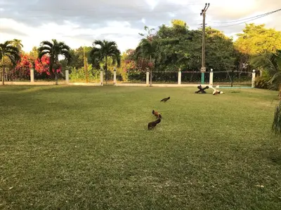 Ferienwohnung für 3 Personen (16 m²) in La Flora 8/10
