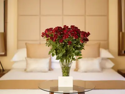 Ferienwohnung für 2 Personen (25 m²) in Havanna 6/10