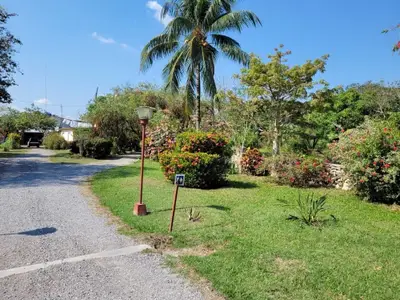 Ferienwohnung für 3 Personen (16 m²) in La Flora 2/10