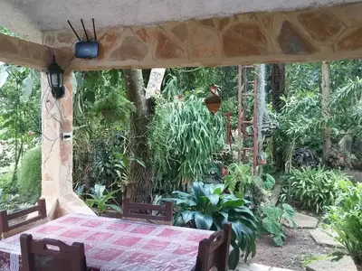 Ferienwohnung für 3 Personen (16 m²) in La Flora 8/10