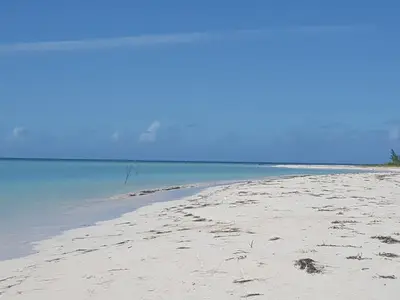 Ferienwohnung für 4 Personen (18 m²) in Viñales 7/10