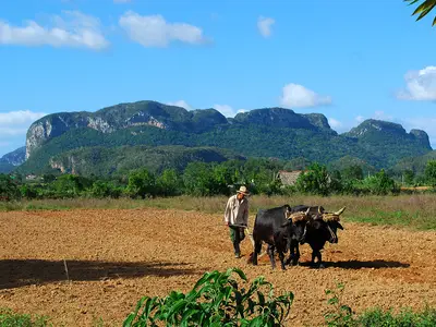 Ferienwohnung für 4 Personen (20 m²) in Viñales 10/10