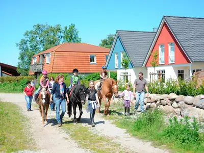 Ferienwohnung für 5 Personen (70 m²) in Fehmarn 5/5