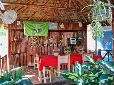 Ferienwohnung für 3 Personen (16 m²) in La Esperanza 6/10