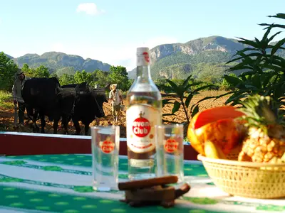 Ferienwohnung für 4 Personen (20 m²) in Viñales 6/10