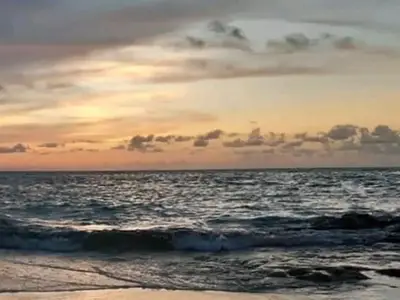 Ferienwohnung für 3 Personen (16 m²) in Playa la Herradura 5/10