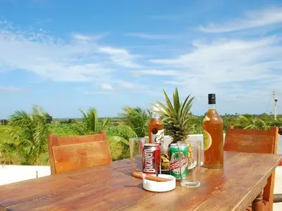 Ferienwohnung für 3 Personen (16 m²) in Cayo Levisa 6/10