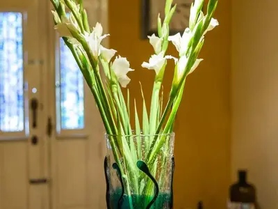 Ferienwohnung für 2 Personen (16 m²) in Havanna 7/10