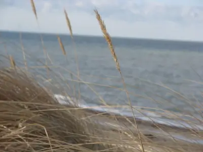Ferienwohnung für 3 Personen (41 m²) in Rerik (Ostseebad) 8/10