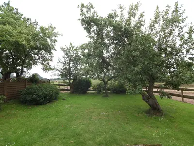 Ferienwohnung für 4 Personen (55 m²) in Lindau 5/6