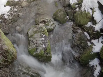 Ferienwohnung für 4 Personen (60 m²) in Fischen im Allgäu 8/10