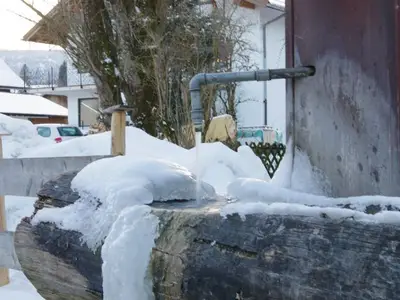 Ferienwohnung für 4 Personen (60 m²) in Fischen im Allgäu 9/10