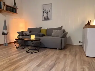 Ferienwohnung für 3 Personen (48 m²) in Sankt Andreasberg 2/10
