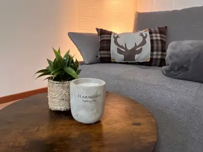 Ferienwohnung für 3 Personen (48 m²) in Sankt Andreasberg 6/10