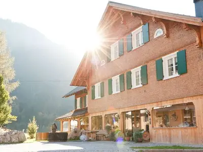 Ferienwohnung für 4 Personen (55 m²) in Schoppernau 1/10