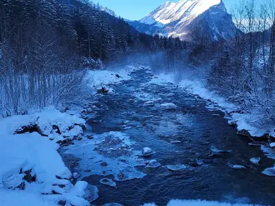 Ferienwohnung für 4 Personen (55 m²) in Schoppernau 3/10