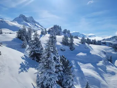 Ferienwohnung für 4 Personen (55 m²) in Schoppernau 4/10