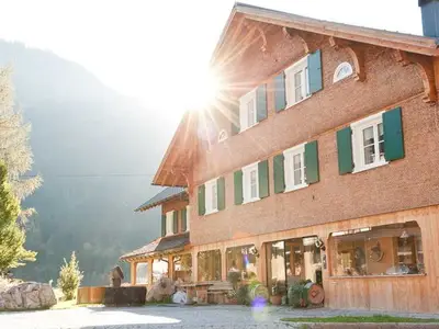 Ferienwohnung für 4 Personen (55 m²) in Schoppernau 5/10