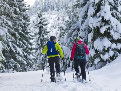 015-14 ©FranzGERDL _REG-St.Johann 5877