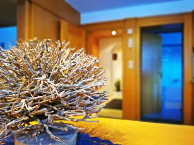 apparmtent-elias-wohnung-baum-c-bernhard-assmair